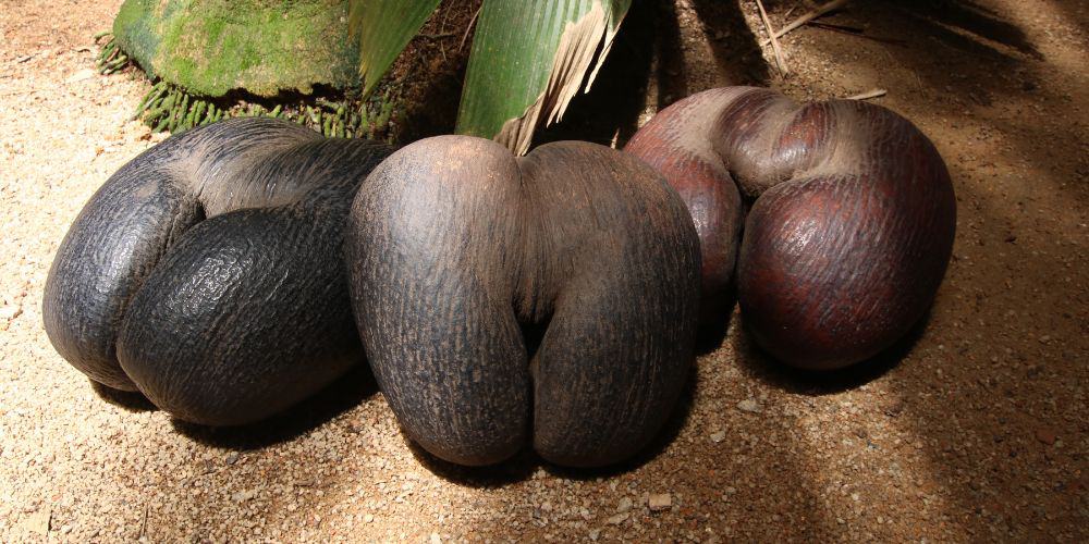 Seychelles