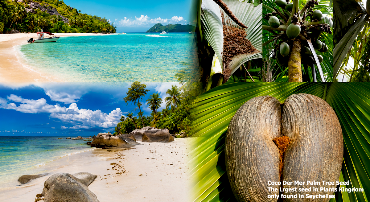 Seychelles