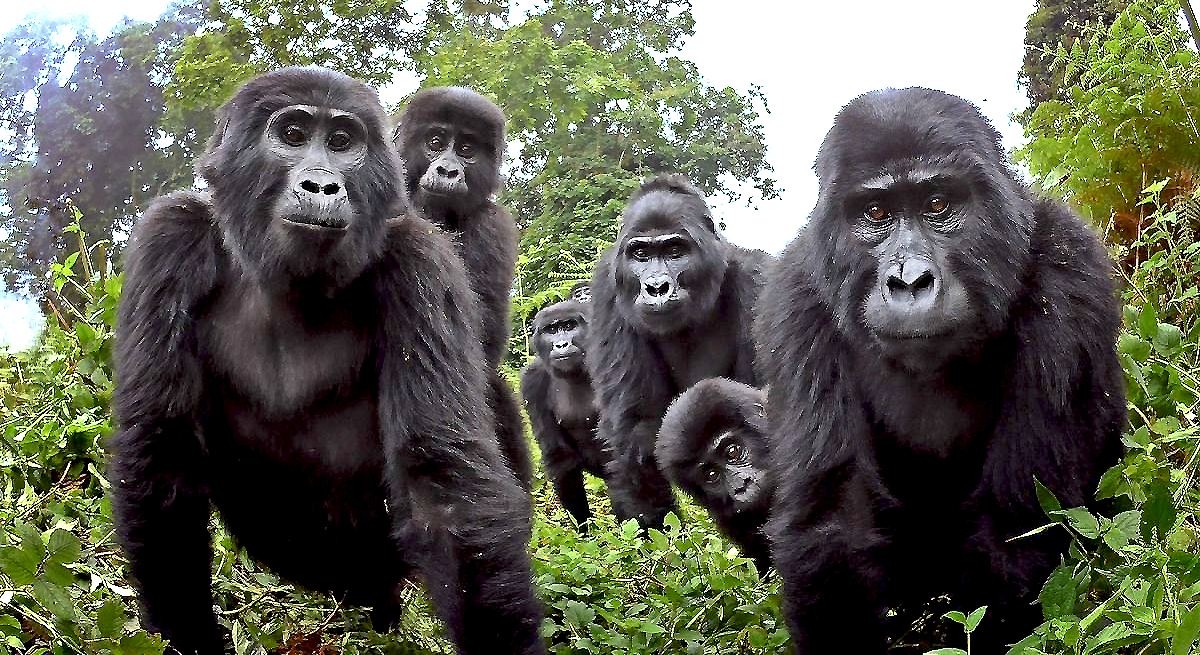 Uganda