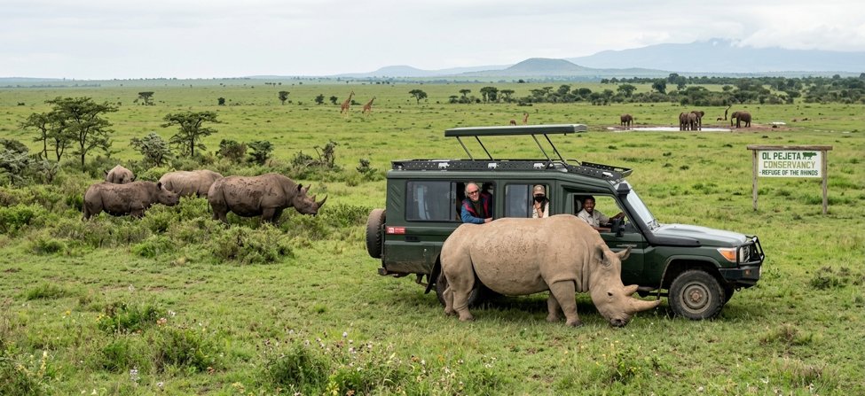 Best of Kenya Classic Safari - Ol Pejeta, Rift Valley Lakes & Masai Mara