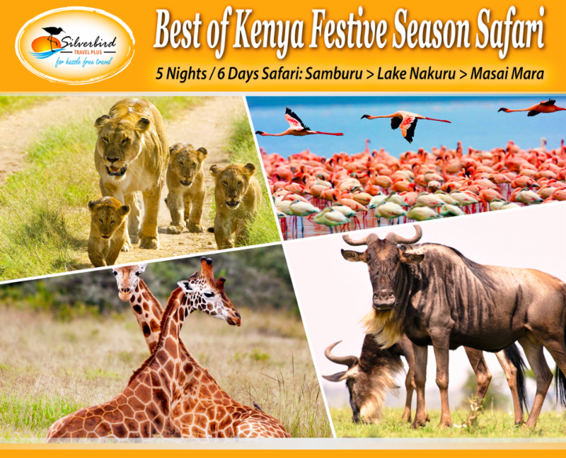 best safari season kenya