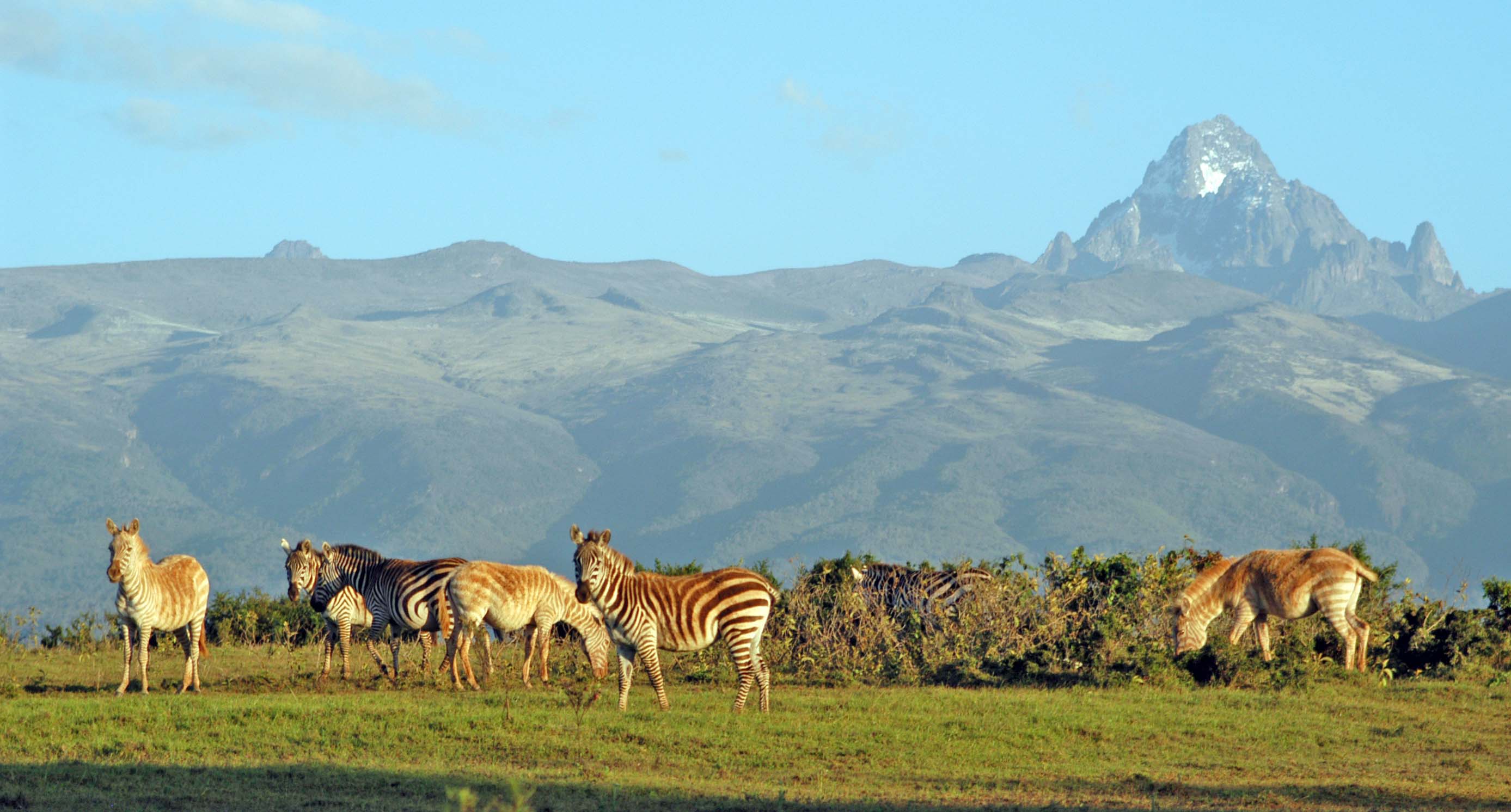 Mount Kenya National Park (Photo: silverbirdsafari-africa.com)