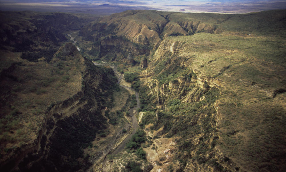 the-great-rift-valley-represents-what-type-of-geological-activity